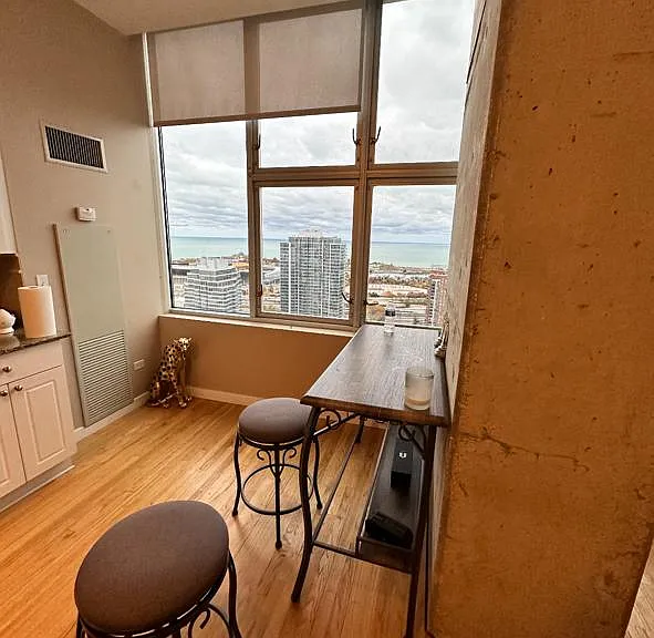 1720 S Michigan Ave #3207 — Photo 14