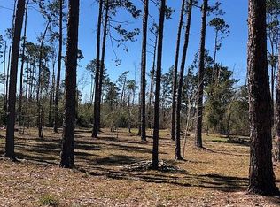 LOT 10 Lakeview Dr, Donalsonville, GA 39845