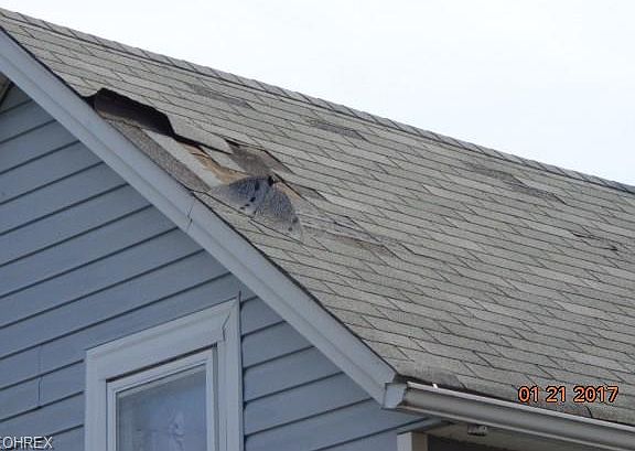 3rd image of 525 W 13th St