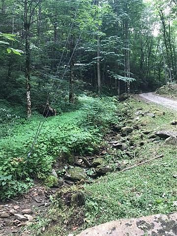 View from the driveway area