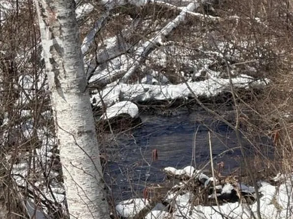 0 Northern Shores Way Way, Ojibwa, WI 54862