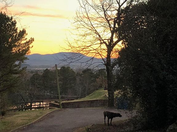 view from rental driveway