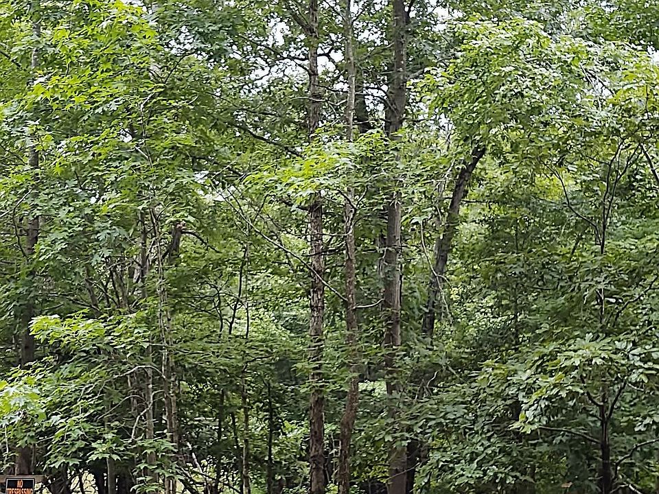 1st image of 88 89 & 1/2 Off Lot 87
