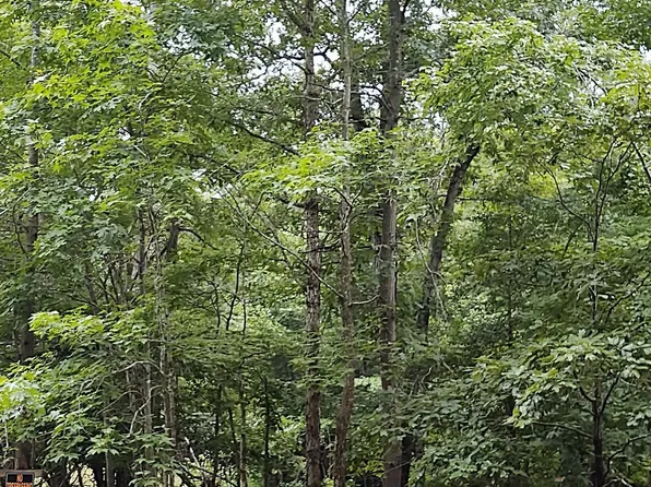 88 89 & 1/2 Off Lot 87, Leonardtown, MD 20650