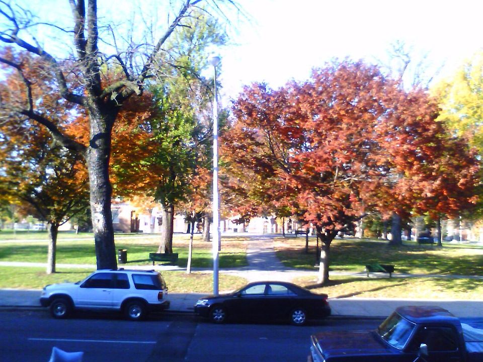 View of Park