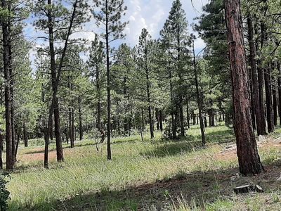 4185 Apache Dr, Happy Jack, AZ, 86024