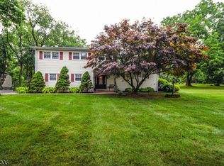 2 Amalia Dr, Lebanon, NJ 08833