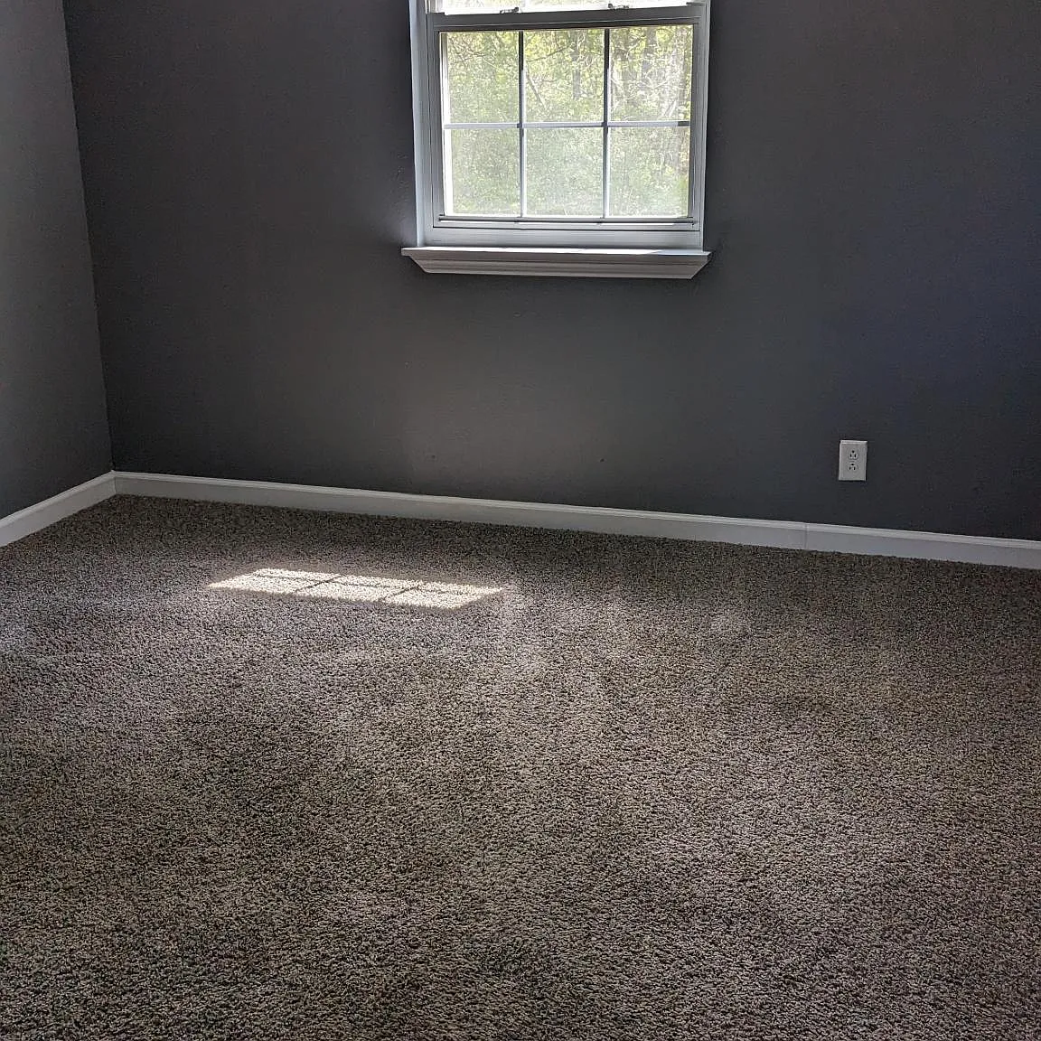 101 Mars Ct — Photo 3