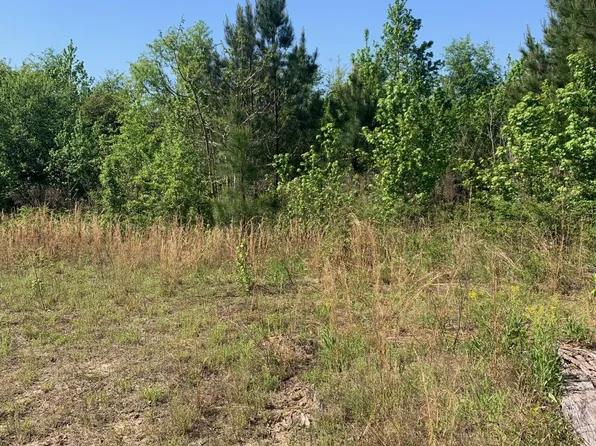 0 LASSITER Road, Gibson, GA 30810