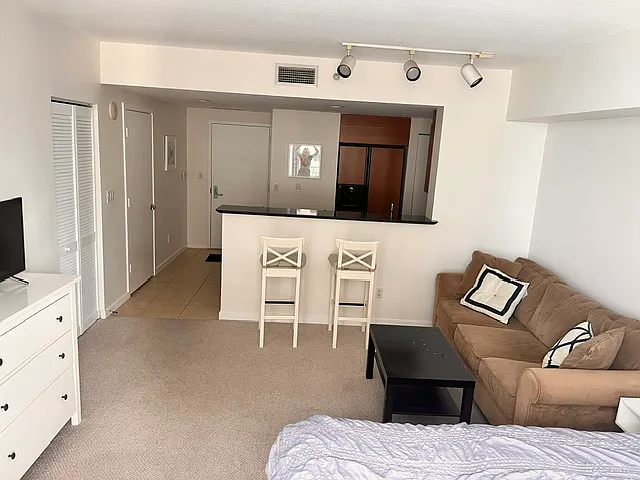 335 S Biscayne Blvd #3006 — Photo 3