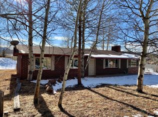 1035 Park View Rd, Woodland Park, CO 80863