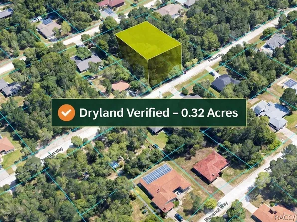 8977 Senior Way, Weeki Wachee, FL 34613