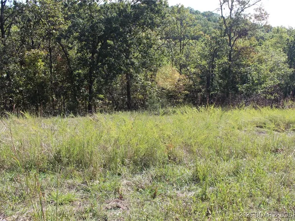 LOT 15 Mayerling Dr, Gravois Mills, MO 65037