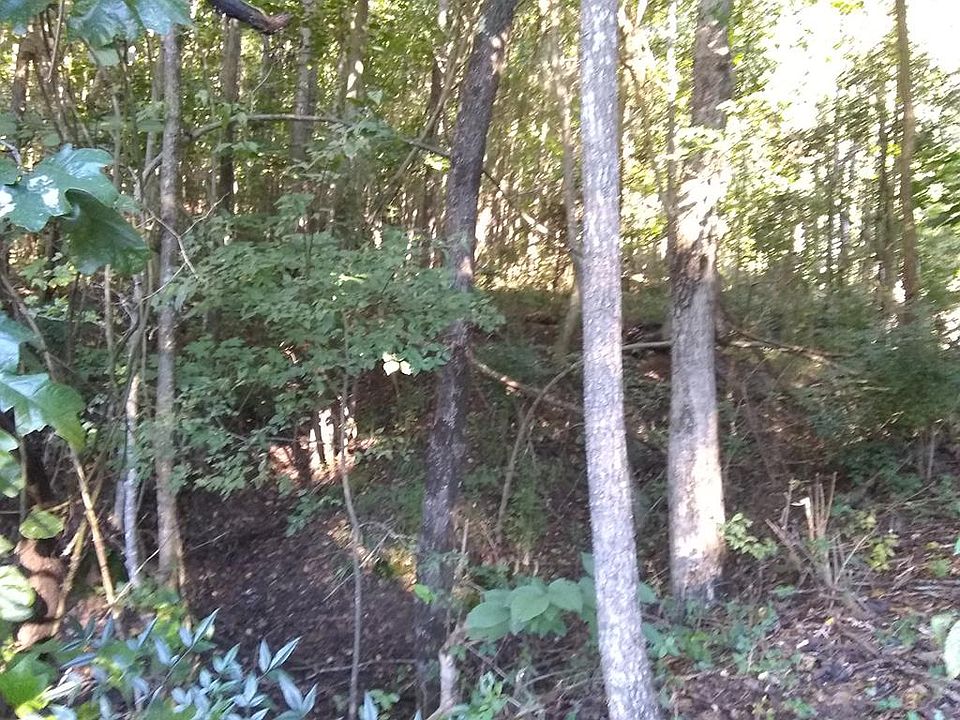 1st image of 122 Shana Dr