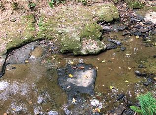 0 Salem Minor Hl, Minor Hill, TN 38473