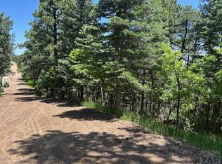 LOT 15 Charles Ln, Rye, CO 81069