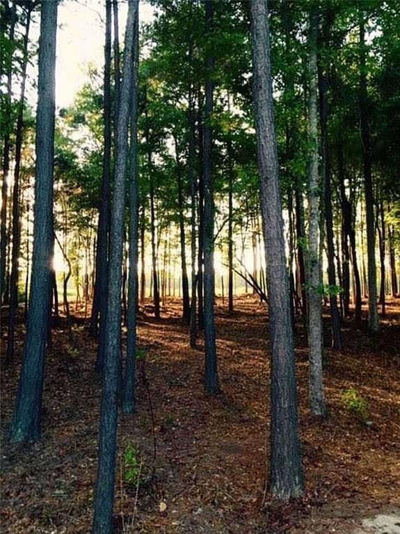 11300 Serenbe Ln, Chattahoochee Hills, GA 30268 Zillow