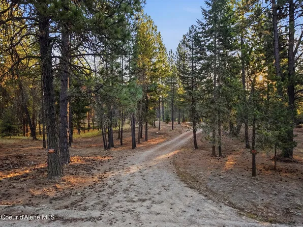 30766 N Riffle Rd, Spirit Lake, ID 83869