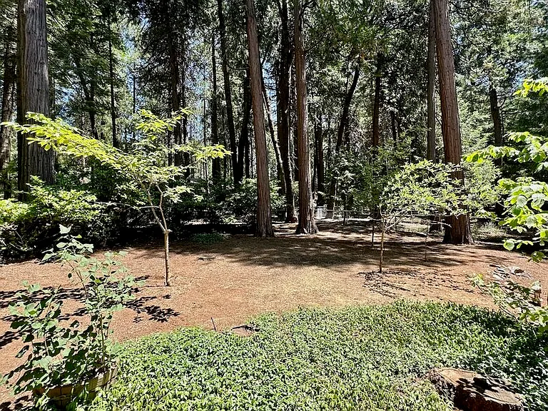 13246 Red Dog Rd — Photo 38