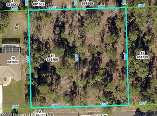 0 Gallinule Ave, Brooksville, FL 34613