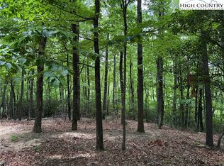 215 Casey Mountain Rd, Purlear, NC 28665