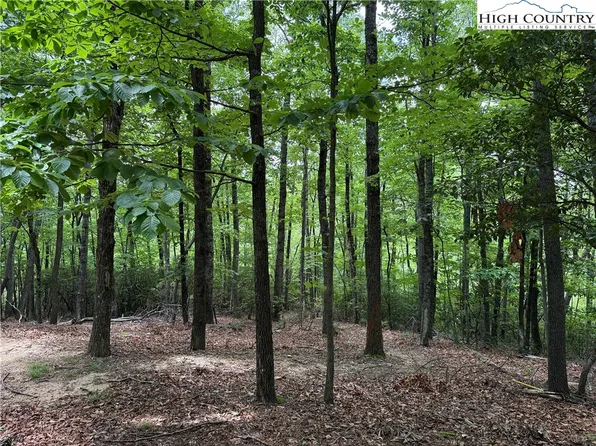 Lot 215 Casey Mountain Road, Purlear, NC 28665