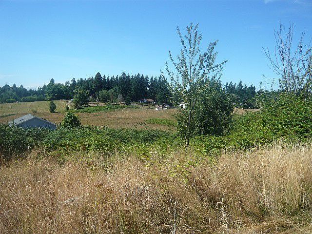 View looking west from the back of the house