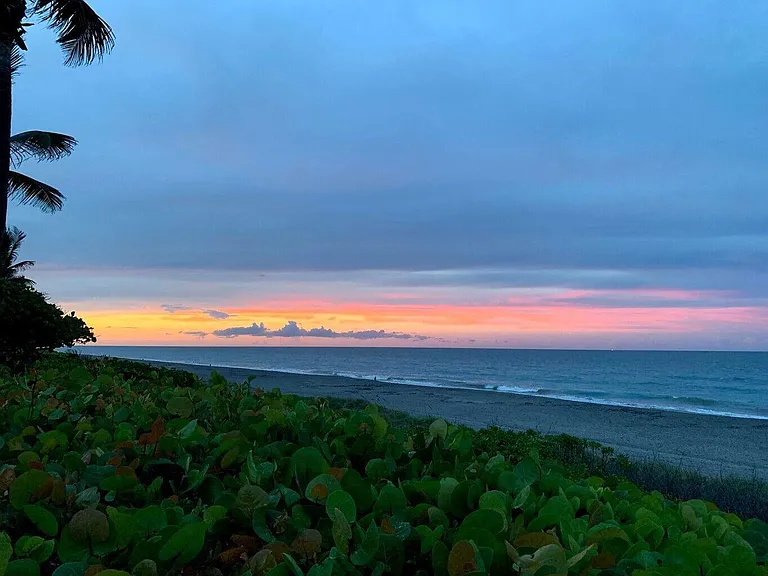 1542 Jupiter Cove Dr #104 — Photo 65