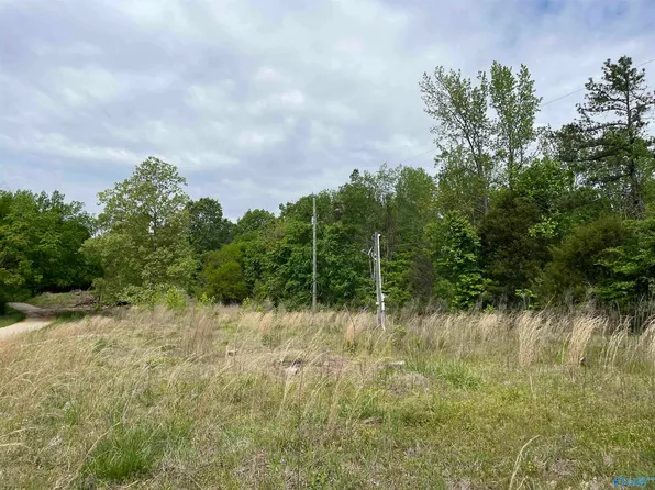 93 County Road 263, Town Creek, AL 35672