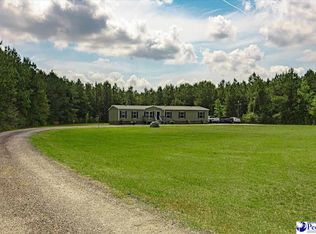 1208 McLellan Rd, Hamer, SC 29547