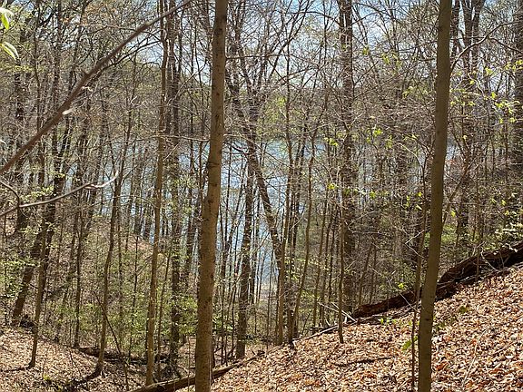 2nd image of Norris Shores Dr