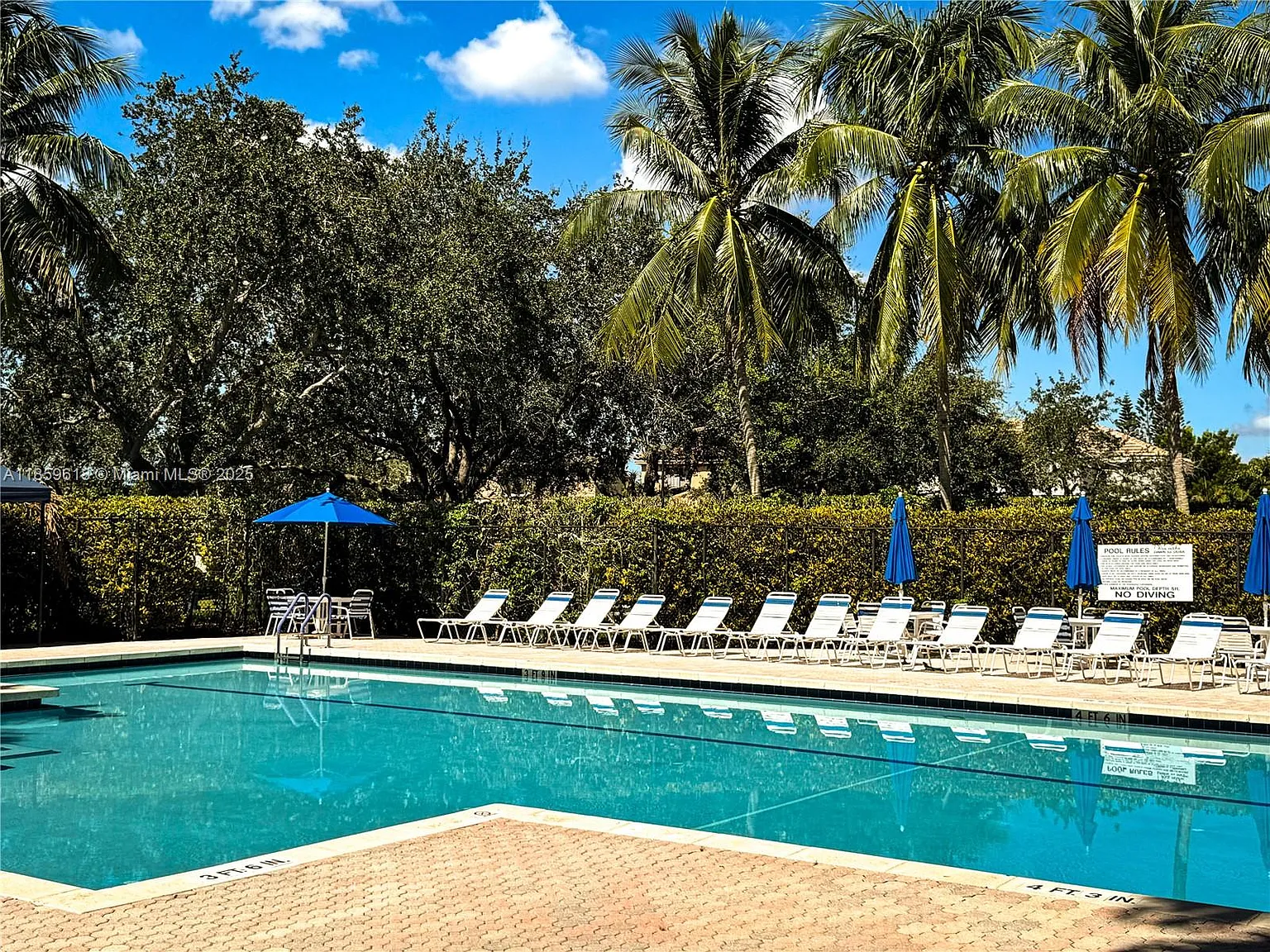 2 bed, 1261 sqft, $3,100 — Photo 2