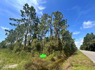 966 Challenger St NW Lot 13, Lake Placid, FL 33852