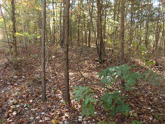 4th image of 0 Eagle Ridge Rd
