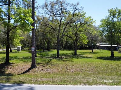 6926 Doc Whitfield Rd, Wewahitchka, FL, 32465
