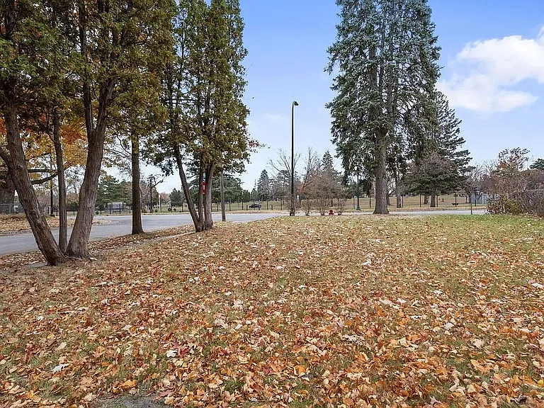 Yard, view from front steps