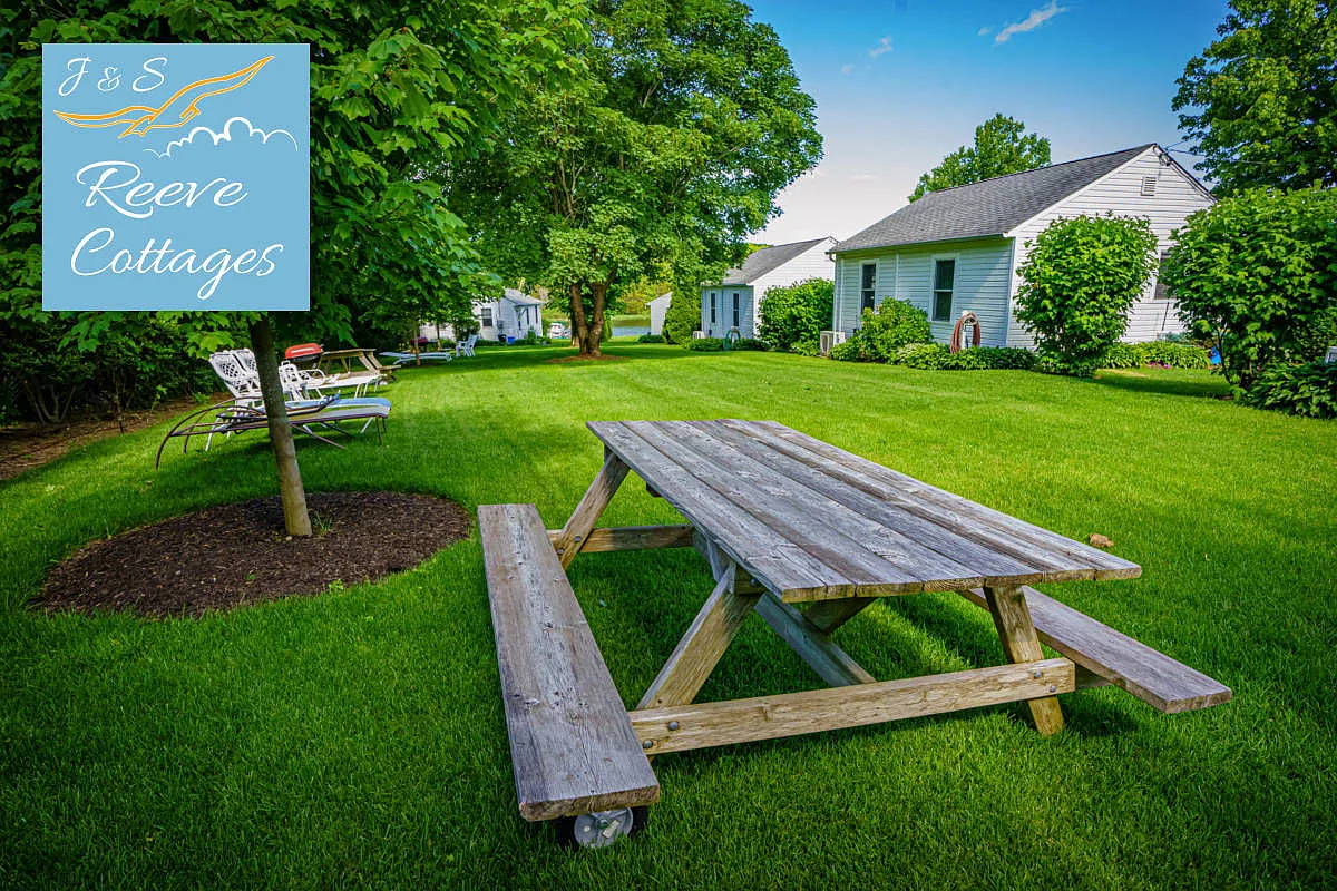 Cozy water front cottage — Photo 4