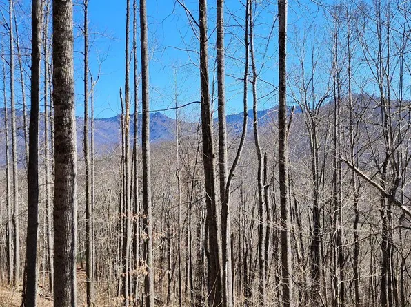 0 Sharp Top Rd, Burnsville, NC 28714