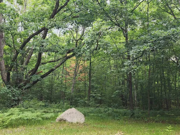 2525 Seeley Rd, Cadillac, MI 49601