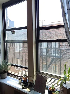 Rented by Living New York | media 15