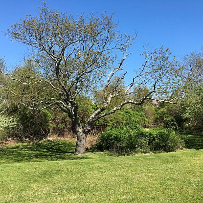 1st image of 38 Tern Dr