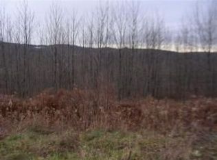 10 E Country Gate Pl, Vestal, NY 13850