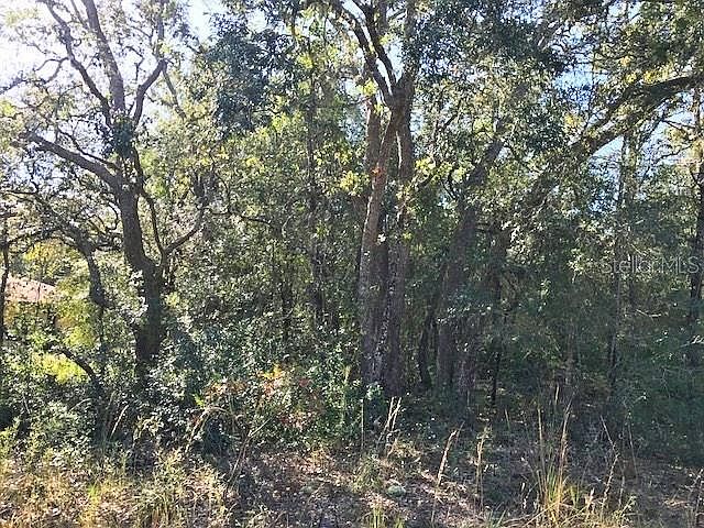 2nd image of CR 656