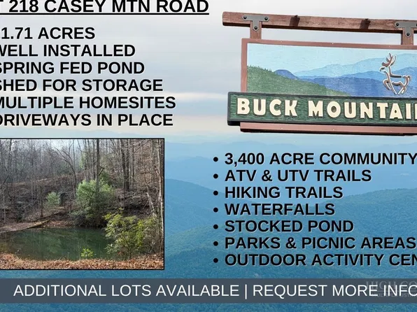 Lot 218 Casey Mountain Road, Purlear, NC 28665