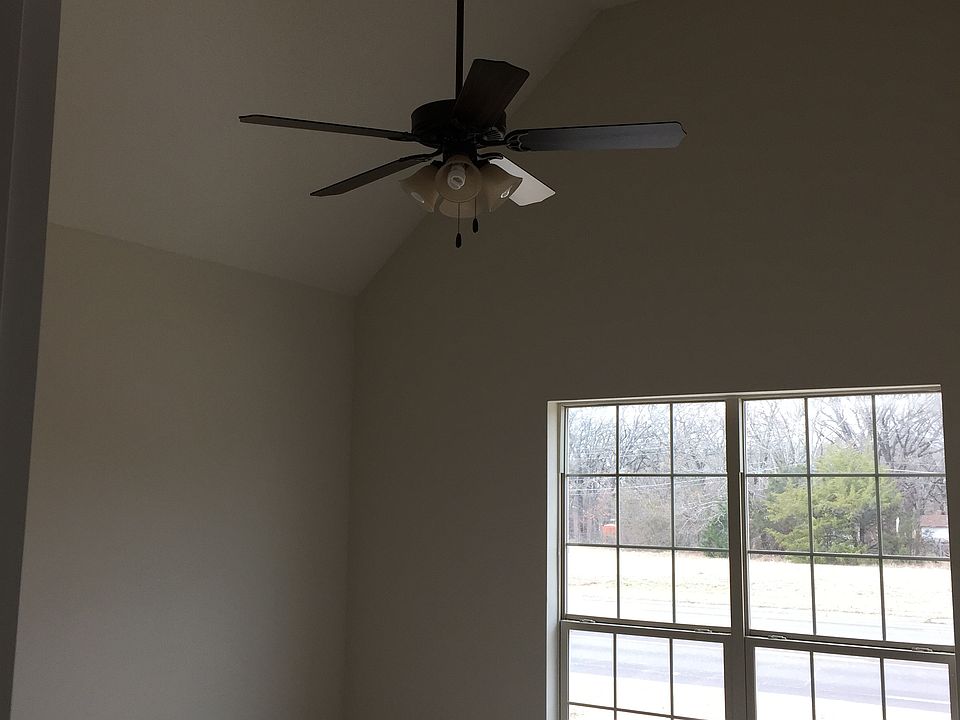 Master Vaulted Ceiling