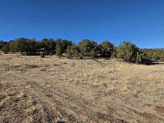 2nd image of 303 Piute Dr