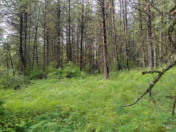 2nd image of Jack Pine Rd