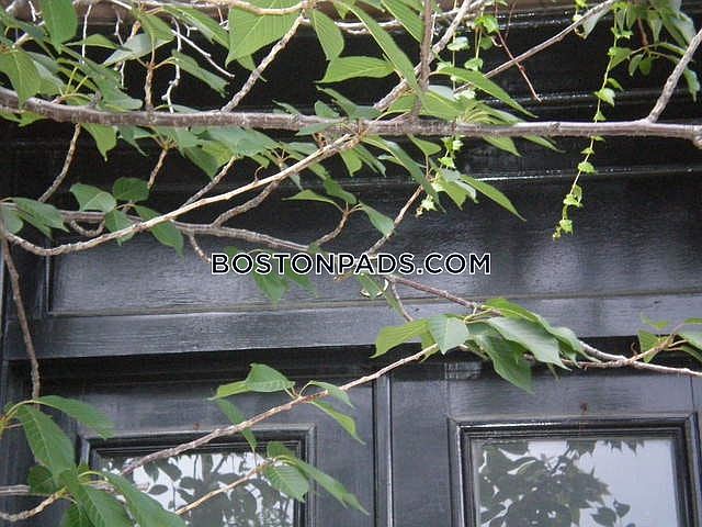 Picture of