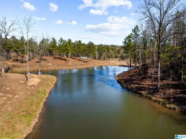 6497 County Road 86 #0, Calera, AL 35040