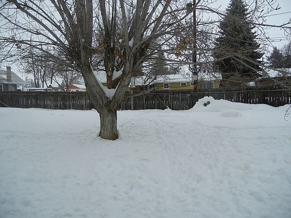 Huge fully fenced back yard